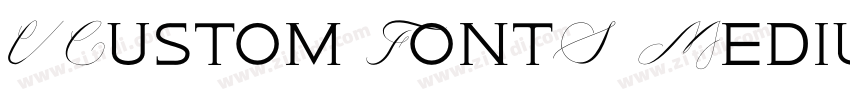 VCustom FontS Mediu字体转换